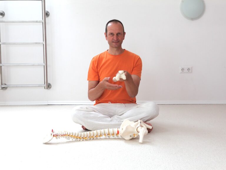 Yoga-Anatomie_Yoga-Speyer.jpeg